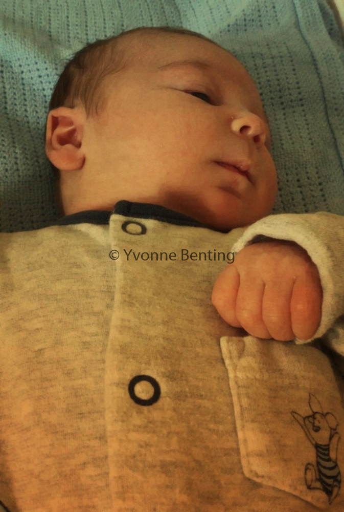 Photo 365 project - Hebridean Imaging - Yvonne Benting - Photo a day - Mobile Phone Photography