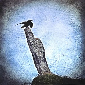 raven standing stone south uist hebridean imaging yvonne benting